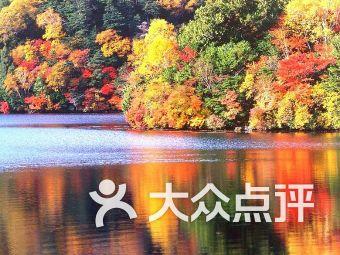 大脚车狂飙赛