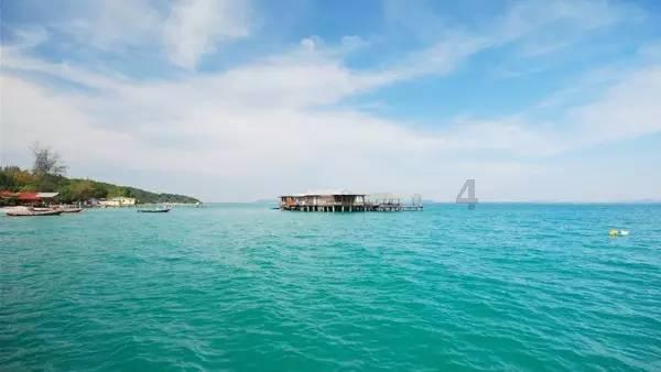 海南大学热带作物学院农艺与种业招收风景园林专业调剂吗游戏画面