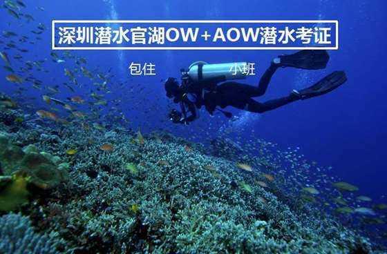 公主的成人礼