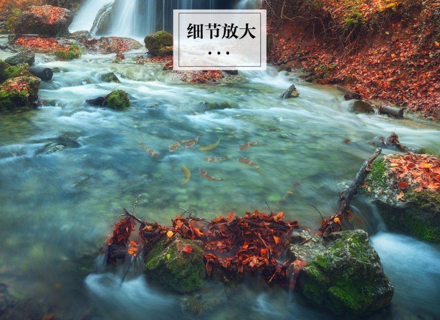 报价14500元,常用的100元纸币,你能找到吗?