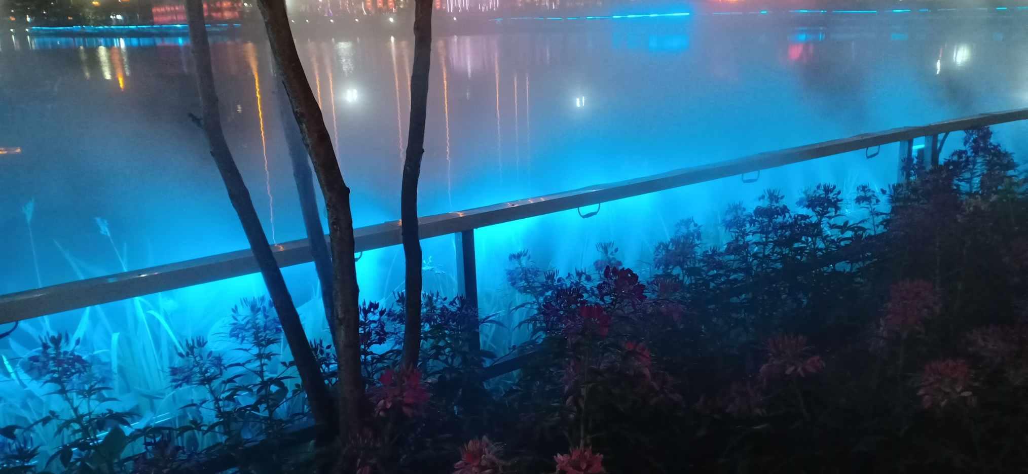 海贼王伟大冒险
